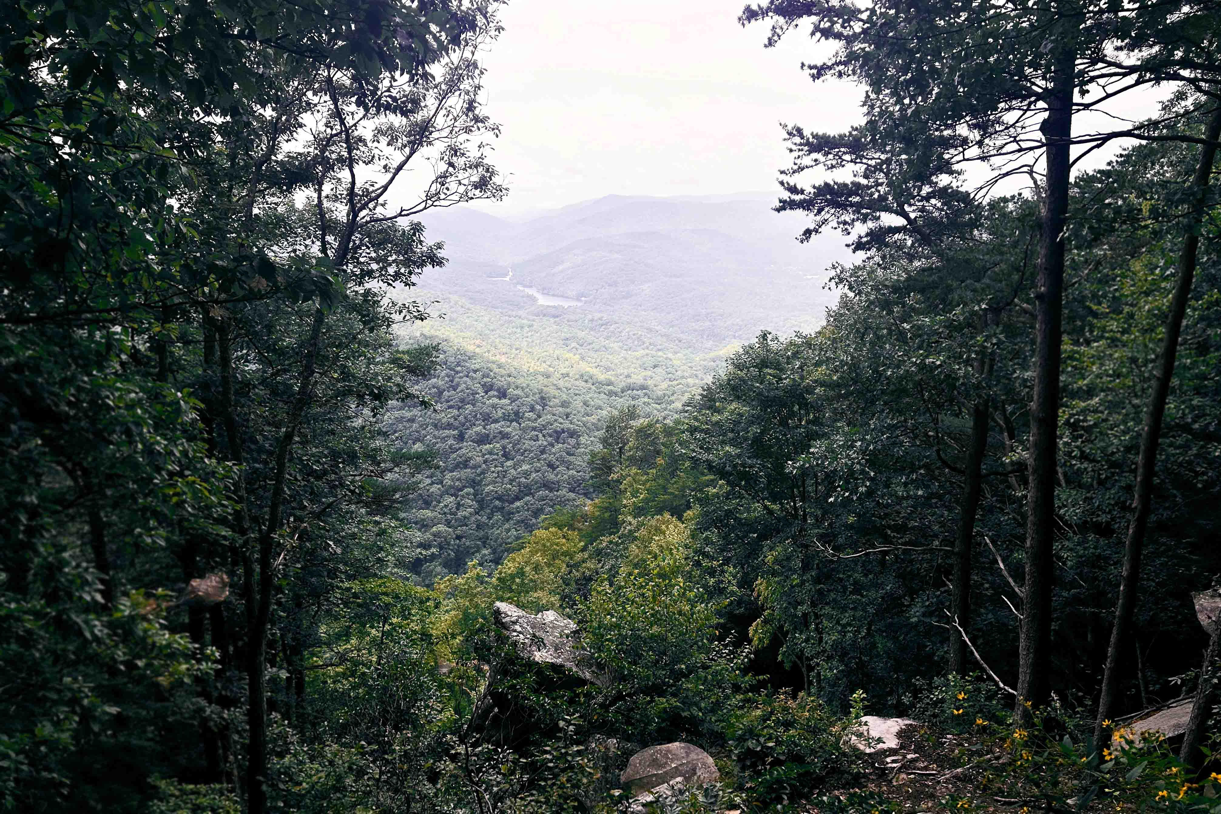 Cumberland Gap Road Trip