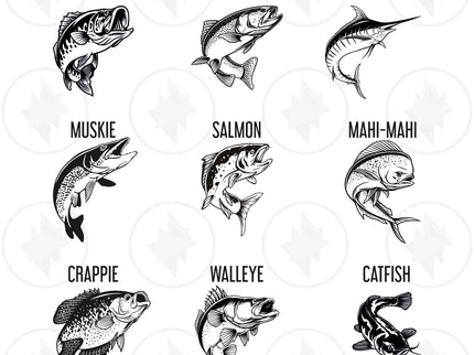 Illustrations of various fish species with labels on a white background