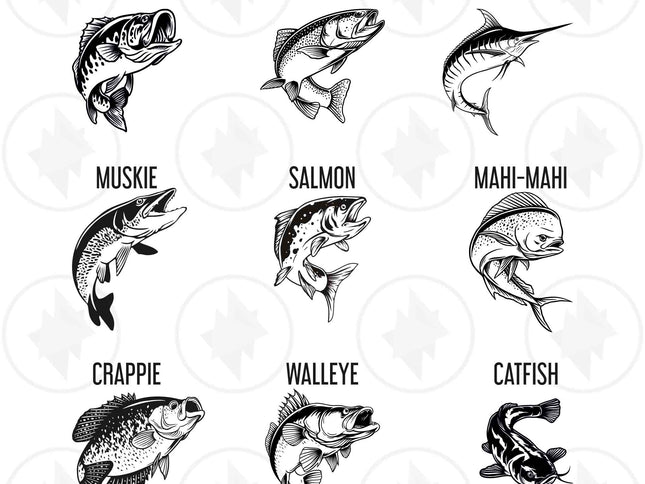 Illustrations of various fish species with labels on a white background
