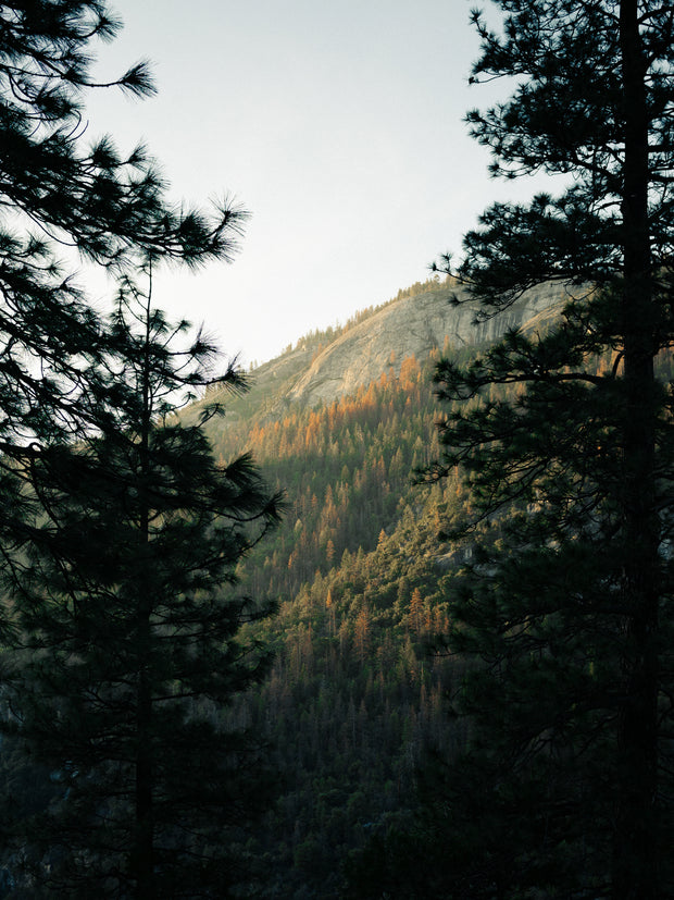 Looks like you got lost in the wilderness on us...